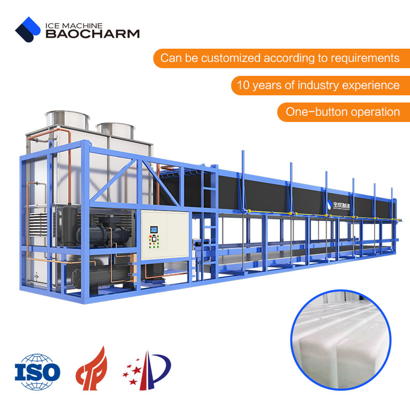 10-Ton Ice Block Machine for Aquatic Conservation