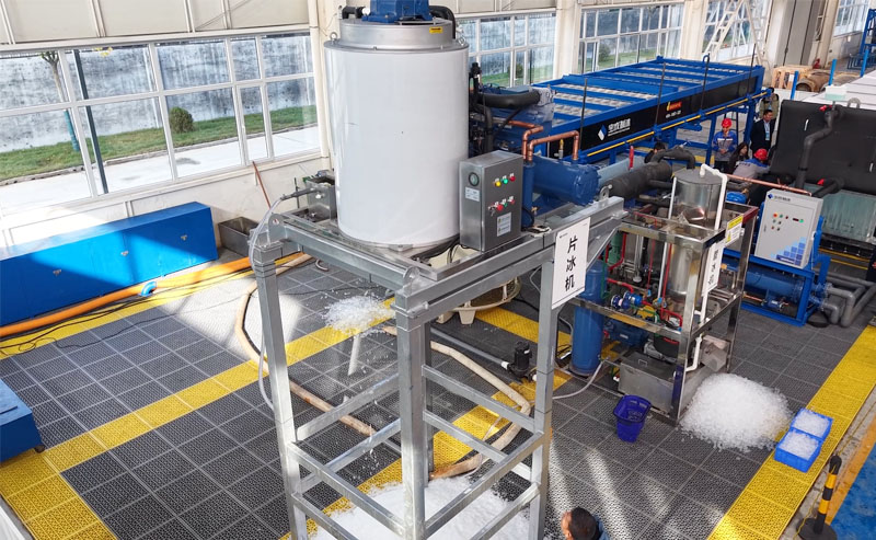 Flake Ice Making for Seafood Preservation Flake Ice Making for Seafood Preservation