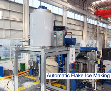 Máquina de hielo en escamas con capacidad de producción diaria personalizada